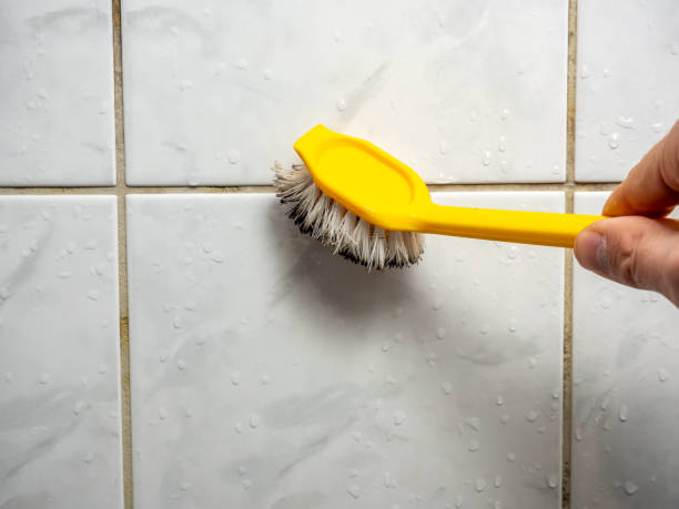 Best Emergency Mold Removal  in Caway, AR
