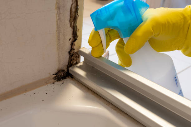 Best Residential Mold Removal  in Caway, AR